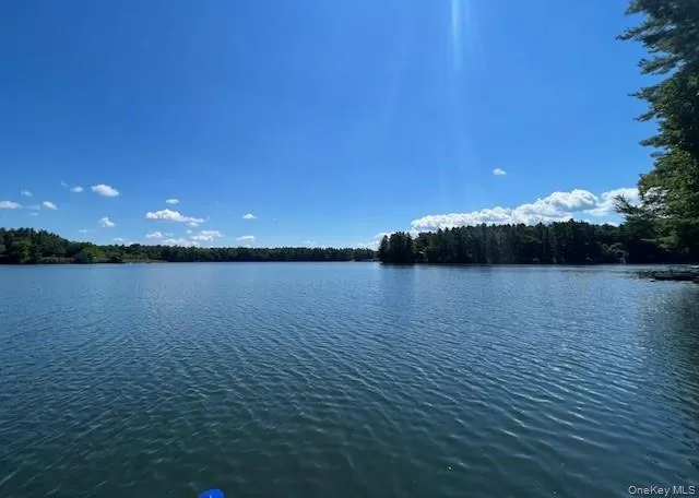 a view of lake and mountain
