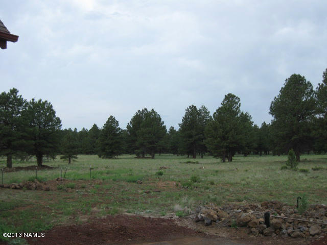 12852 Sun Dodger Ranch Road Parks, AZ 86018 - Photo 38 of 47 sundodger 079