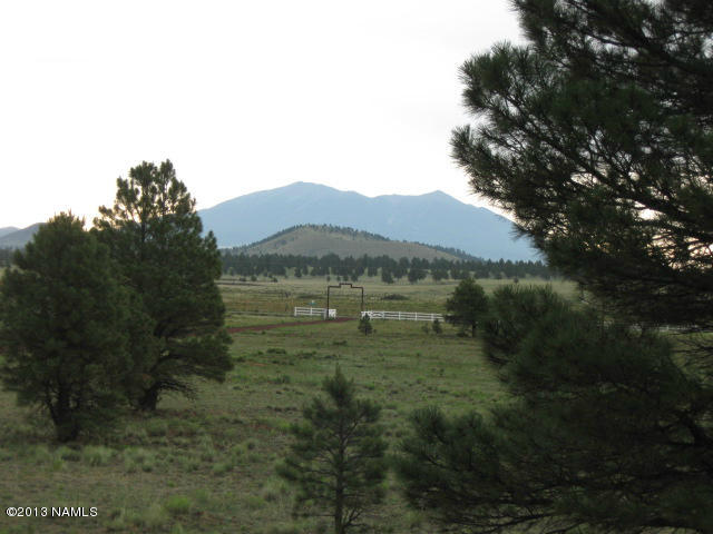 12852 Sun Dodger Ranch Road Parks, AZ 86018 - Photo 43 of 47 sundodger 053