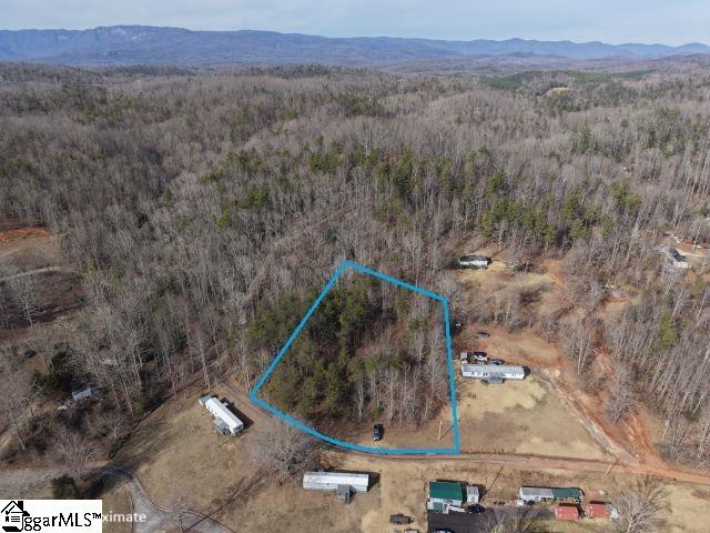 0 Lake Circle Road Marietta, SC 29661 - Photo 1 of 2