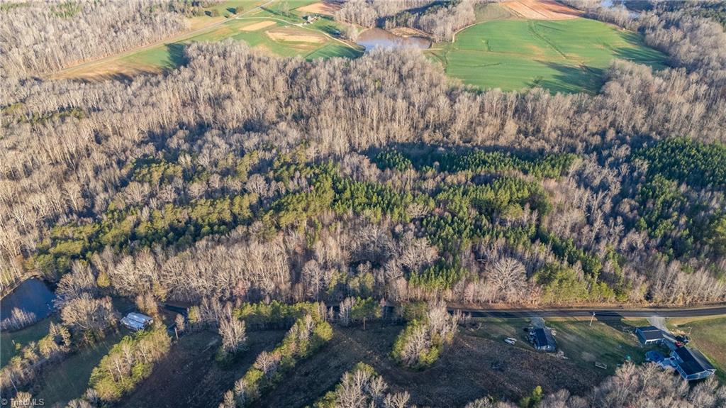1996 Apple Road Reidsville, NC 27320 - Photo 3 of 19 HUGE 13.74 ACRE LOT