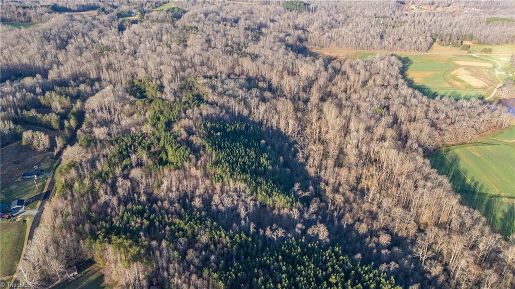 1996 Apple Road Reidsville, NC 27320 - Photo 7 of 19 Gallery Image 7