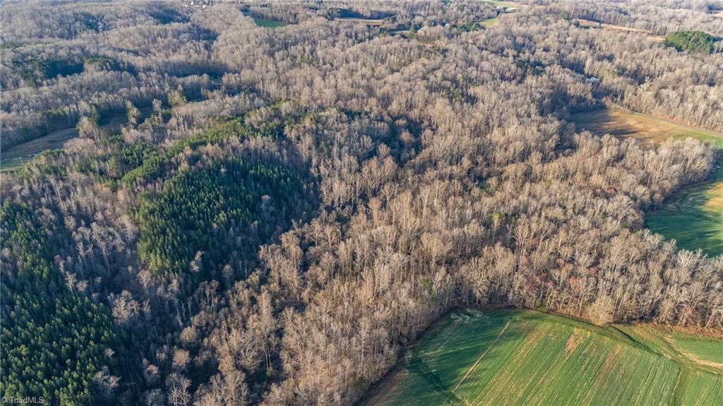 1996 Apple Road Reidsville, NC 27320 - Photo 9 of 19 Gallery Image 9