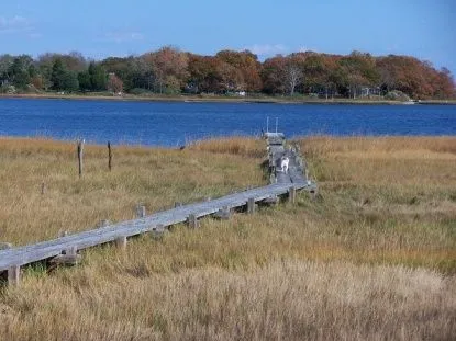 a view of a back yard of the house
