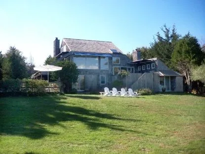 a close up of a plant