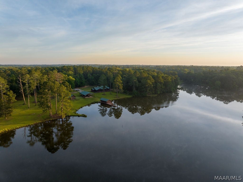 249 Old Sellers Road Ramer, AL 36069 - Photo 28 of 71 Gallery Image 28