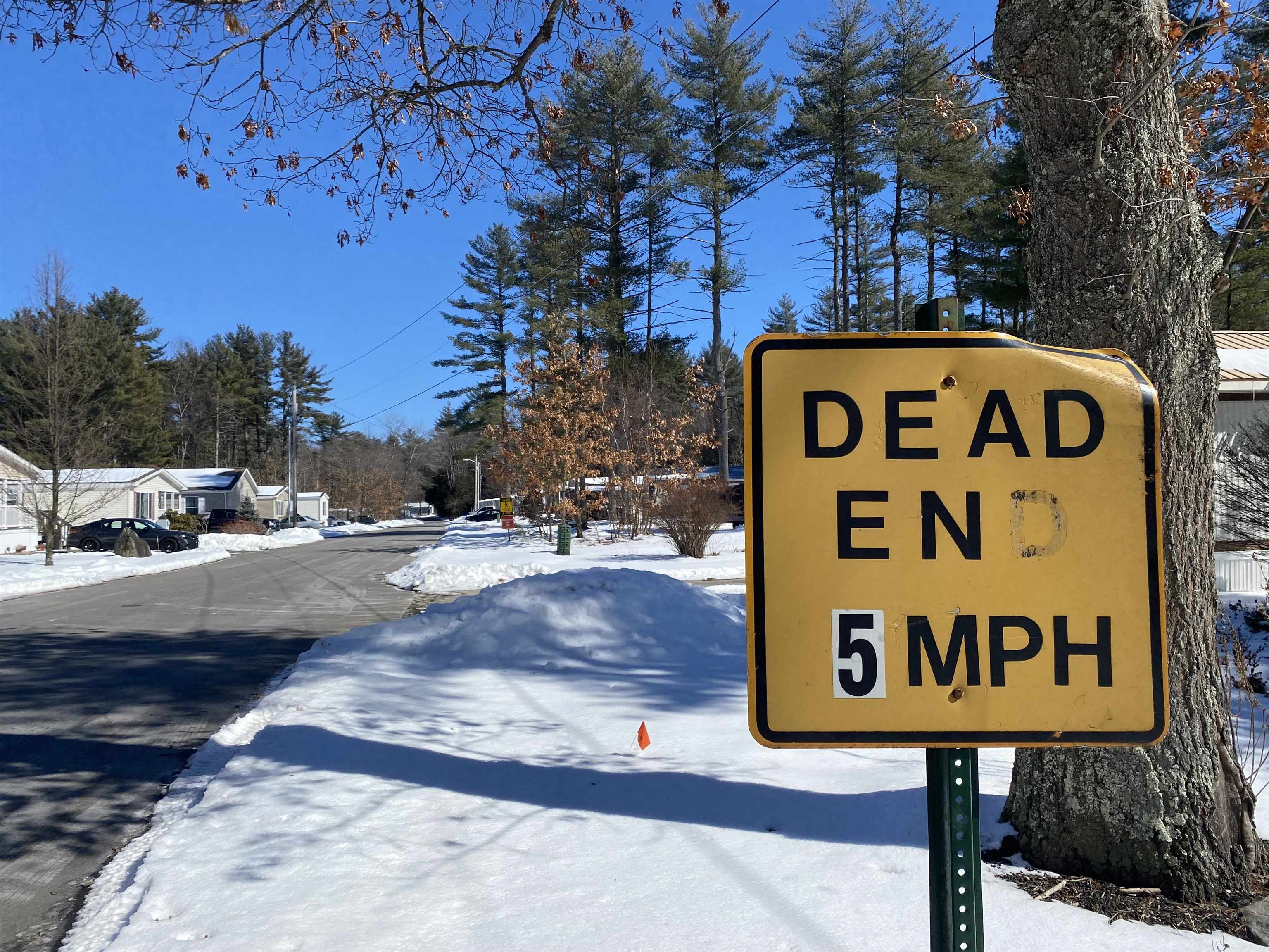 14 Spring Drive Derry, NH 03038 - Photo 15 of 38