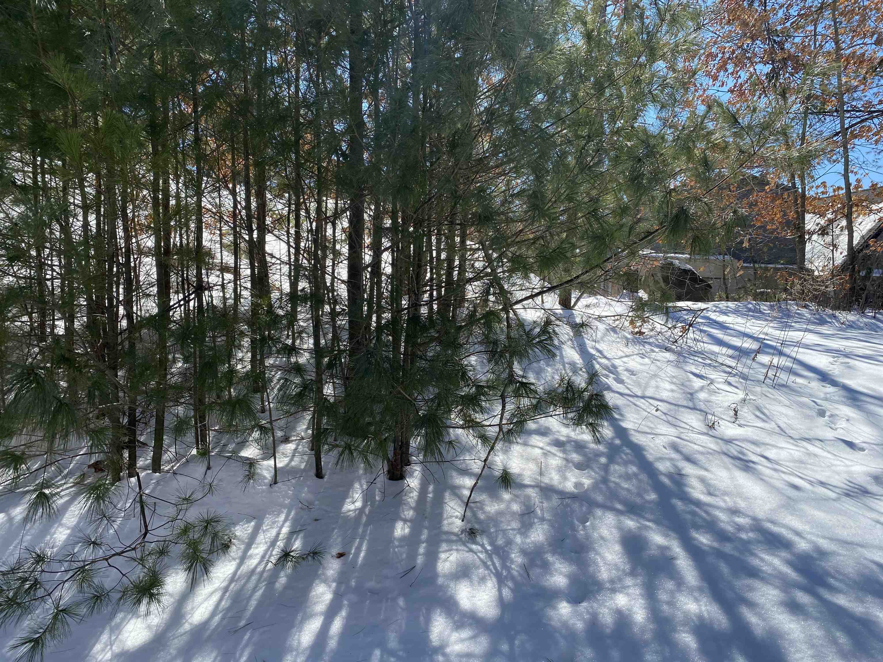 14 Spring Drive Derry, NH 03038 - Photo 36 of 38