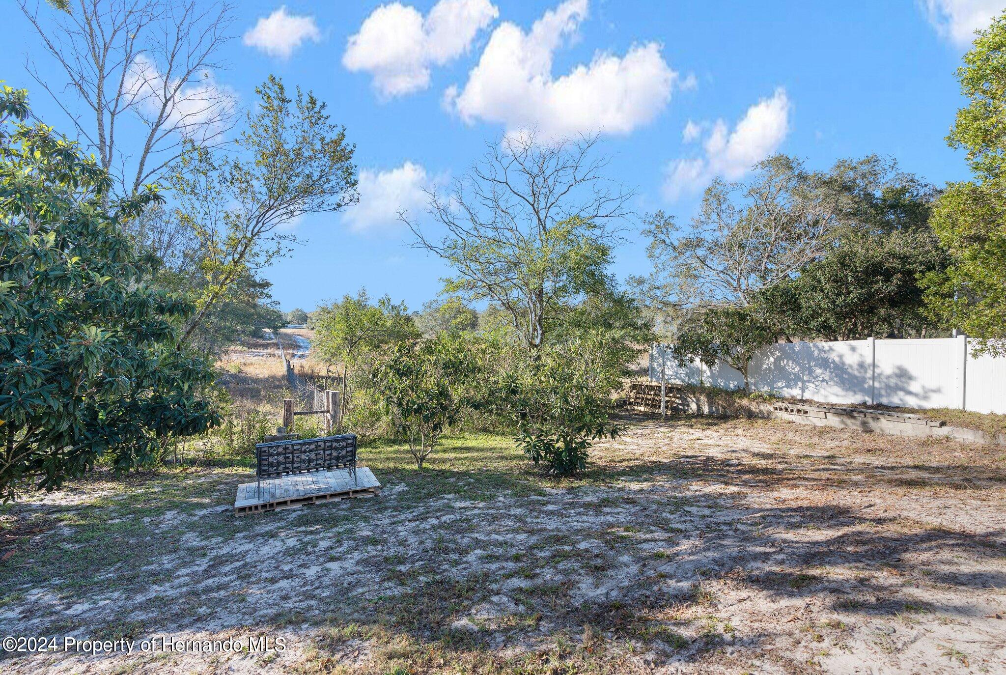 9124 Eldridge Road Spring Hill, FL 34608 - Photo 22 of 26 a view of backyard with green space