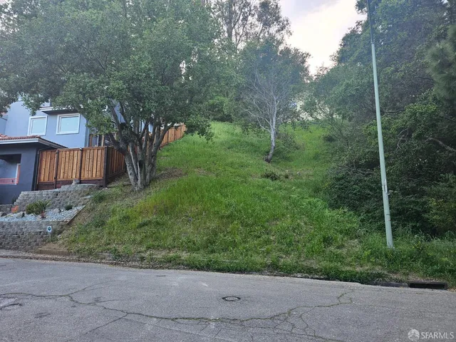 a view of a house with a tree in front of it
