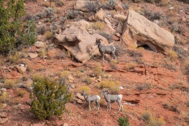 East Rnch Road, Unit AV1361C Hurricane, UT 84737 - Photo 7 of 8 3