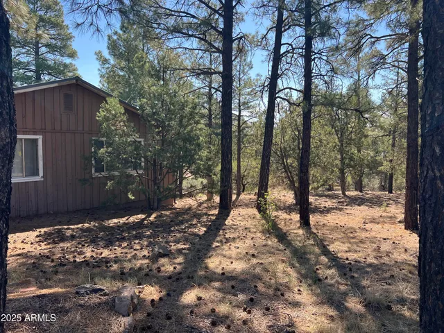 $595,000 | 201 South 6th Place, Show Low, AZ 85901