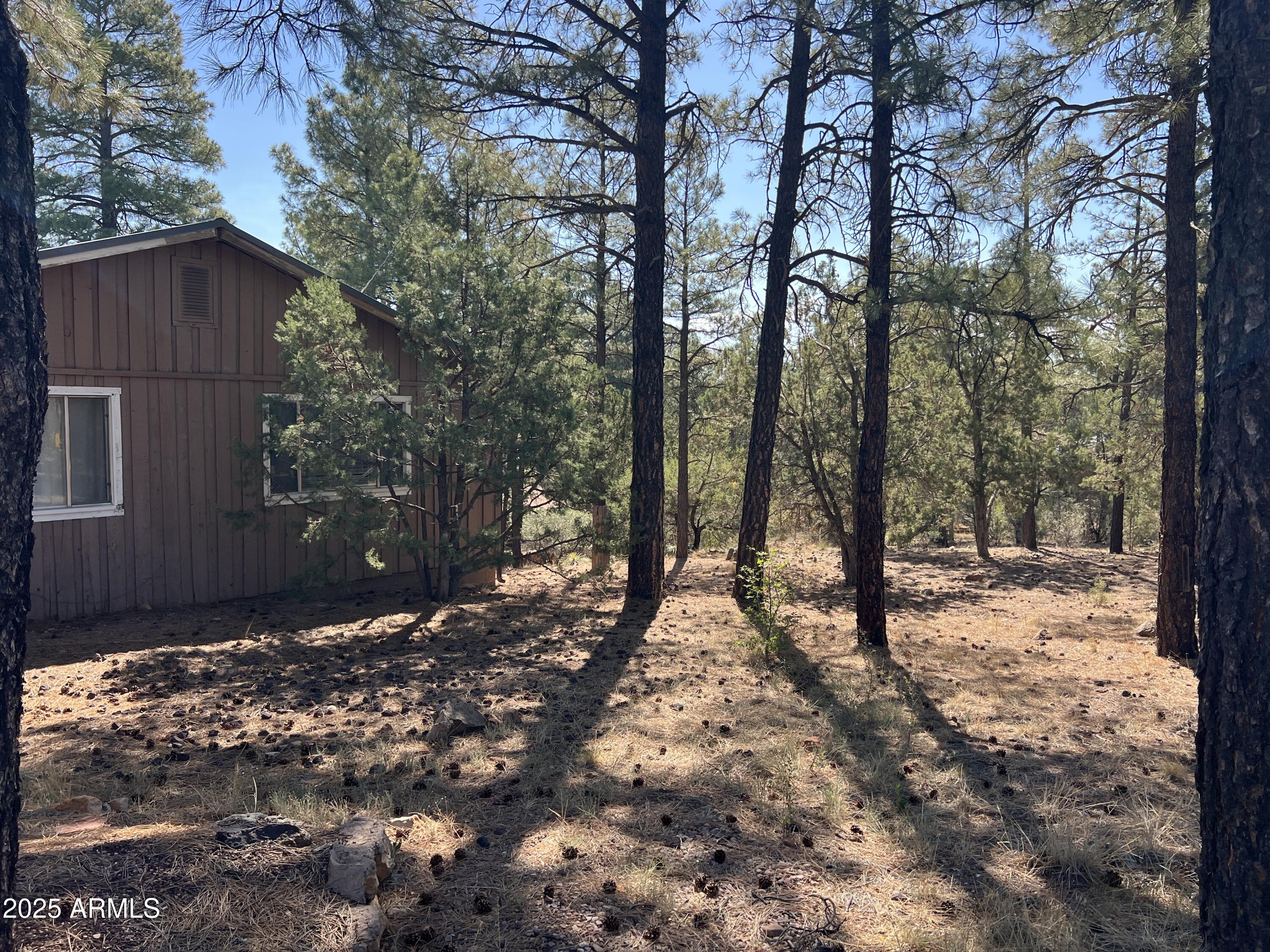 201 South 6th Place Show Low, AZ 85901 - Photo 7 of 48 IMG_5789