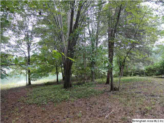 554 Creek Run Road Wedowee, AL 36278 - Photo 4 of 27