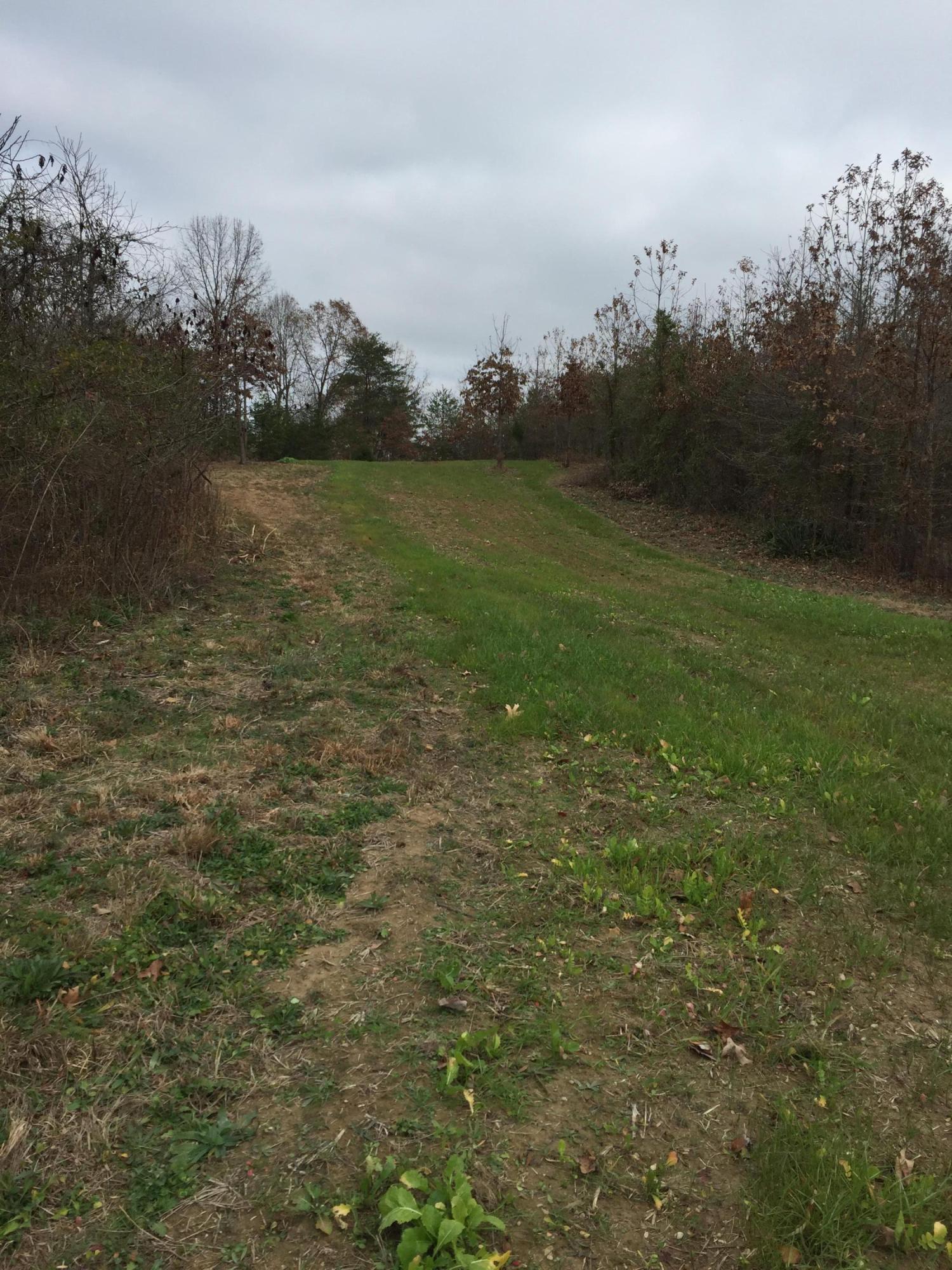1280 Daws Ridge Road Nancy, KY 42544 - Photo 7 of 12 04E27A65-F65D-4016-84D5-479758ECD64C<|><