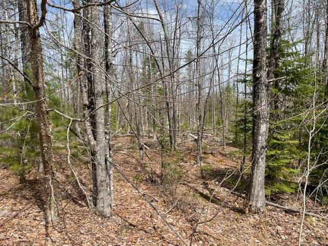 Lot 1 Eames Drive Embden, ME 04958 - Photo 3 of 4 IMG_6931