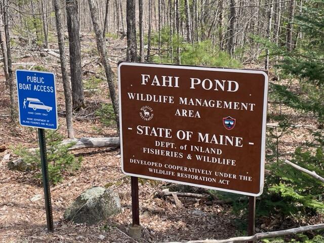 Lot 1 Eames Drive Embden, ME 04958 - Photo 4 of 4 IMG_6933