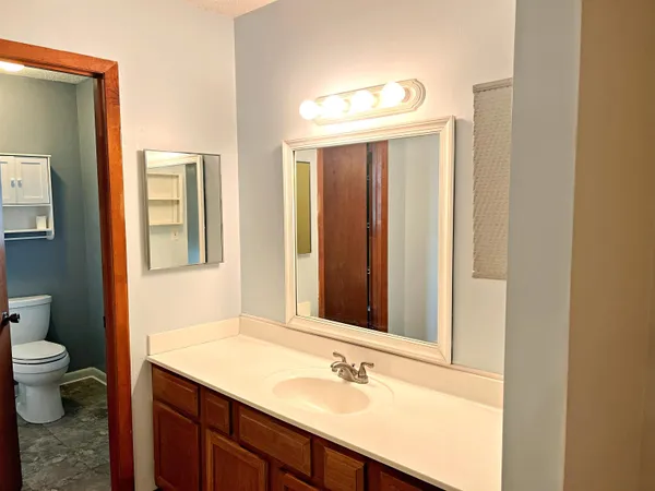 a bathroom with a sink and a mirror