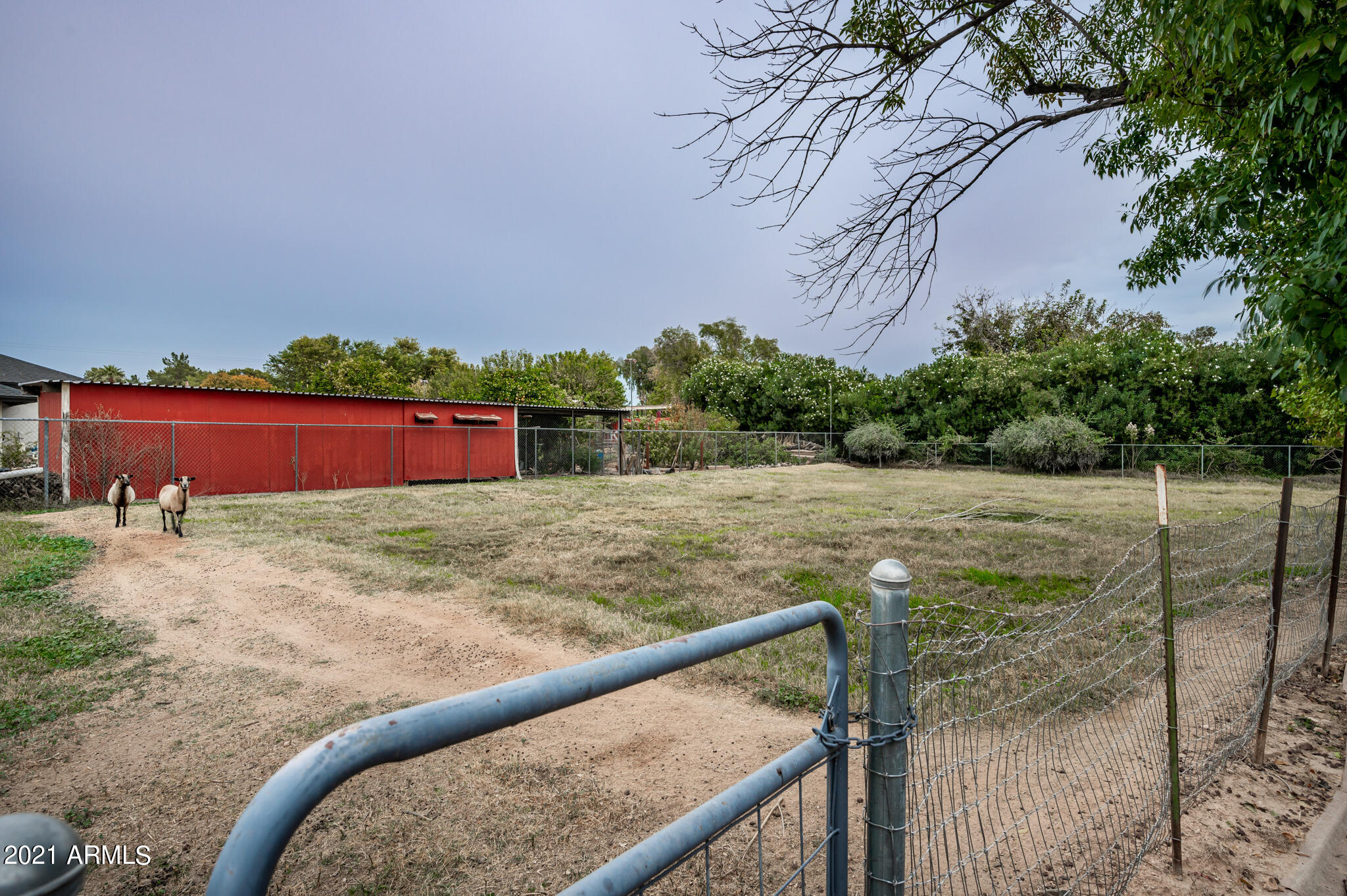 1735 North Rico Circle Mesa, AZ 85213 - Photo 39 of 48 Your Very Own Horse Amenities
