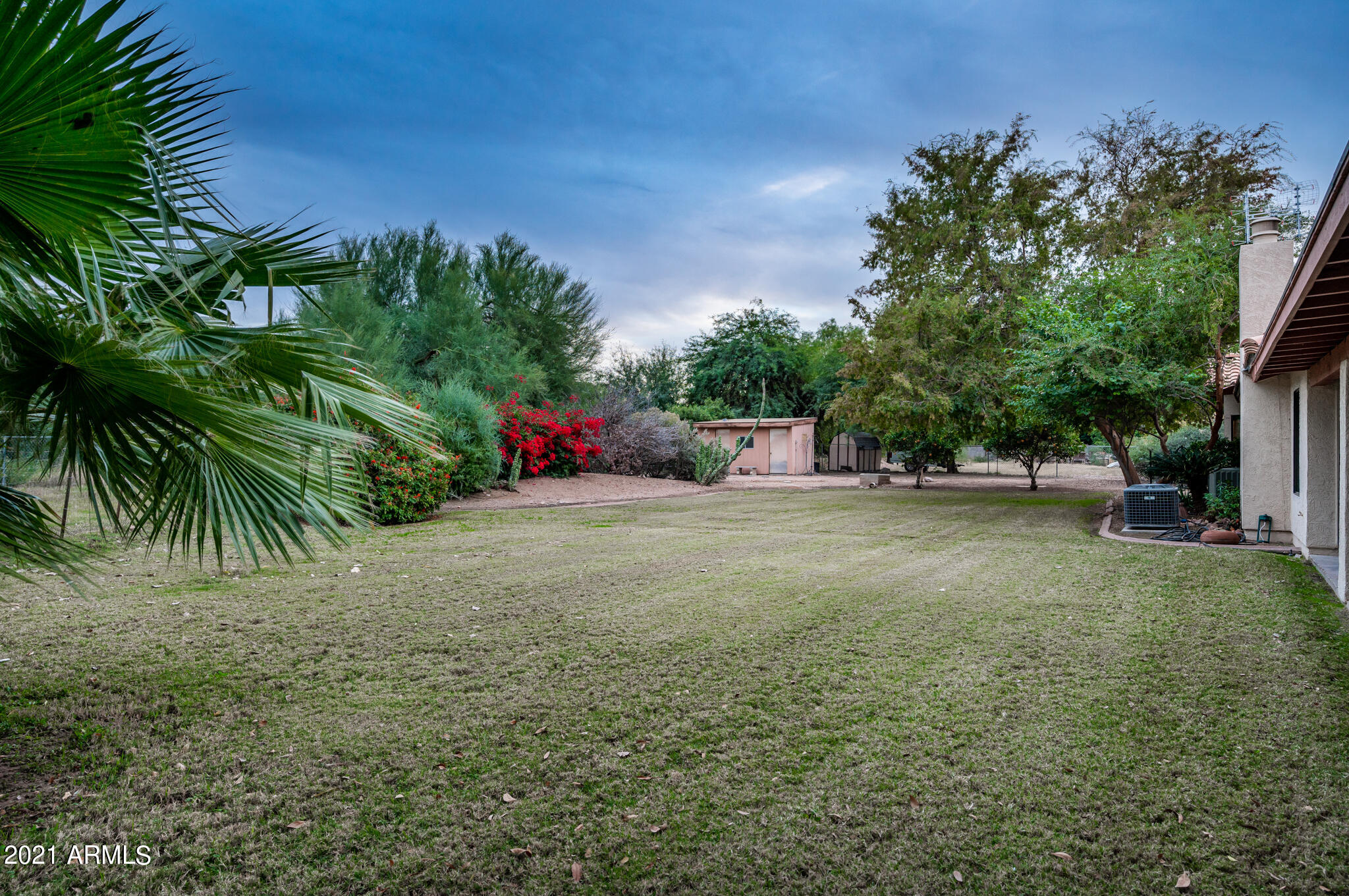 1735 North Rico Circle Mesa, AZ 85213 - Photo 40 of 48 Mature Greenery