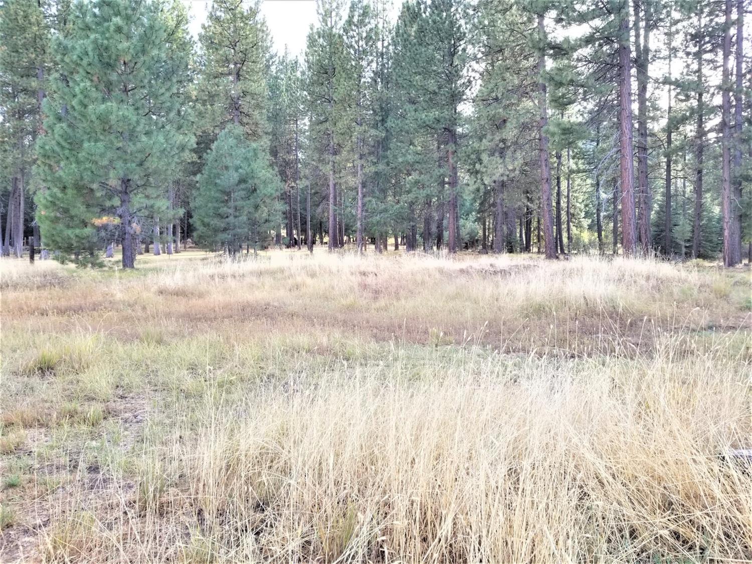 4124 Round Lake Road Klamath Falls, OR 97601 - Photo 23 of 24 Additional Photo