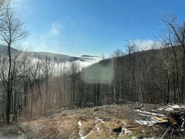 500 Walpole Valley Road Alstead, NH 03602 - Photo 12 of 20