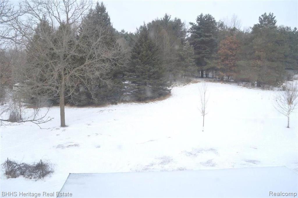 3935 East Coon Lake Road Howell, MI 48843 - Photo 12 of 34