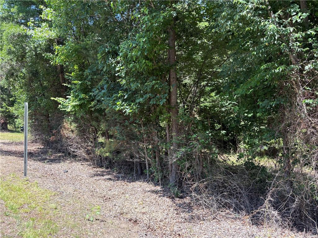 4829 Follansbee Road Winston-Salem, NC 27127 - Photo 3 of 5