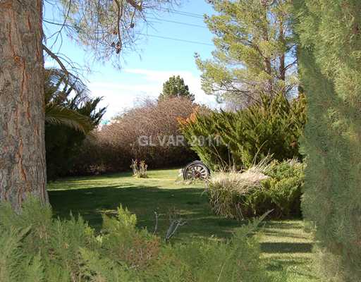6601 Hafen Ranch Road Pahrump, NV 89061 - Photo 11 of 12 View. VIEW OF FRONT SECTION OF YARD