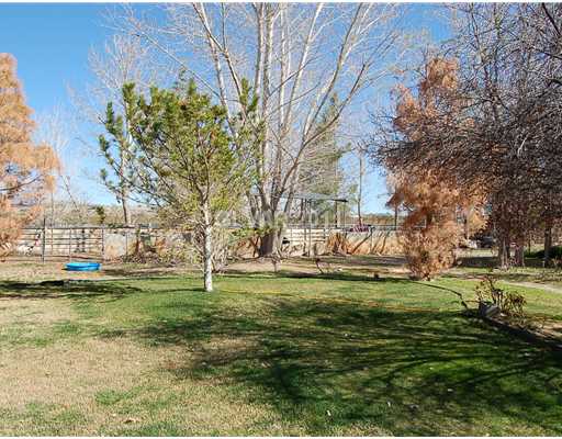 6601 Hafen Ranch Road Pahrump, NV 89061 - Photo 10 of 12 View. VIEW OF CORRALS