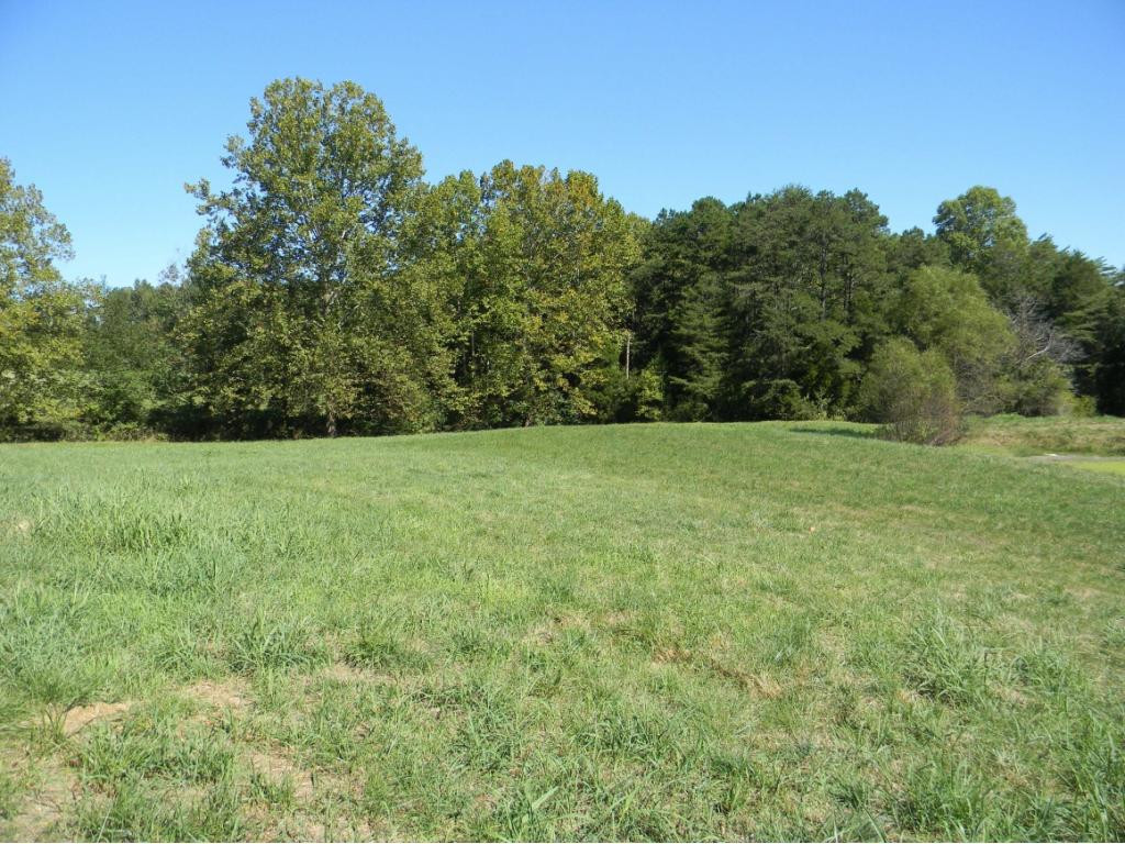0 Elmer Hayes Road Mosheim, TN 37818 - Photo 5 of 11 Photo 5