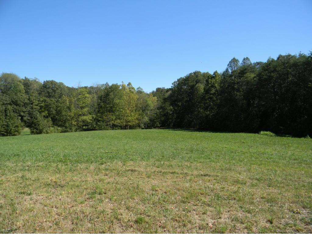 0 Elmer Hayes Road Mosheim, TN 37818 - Photo 8 of 11 Photo 8