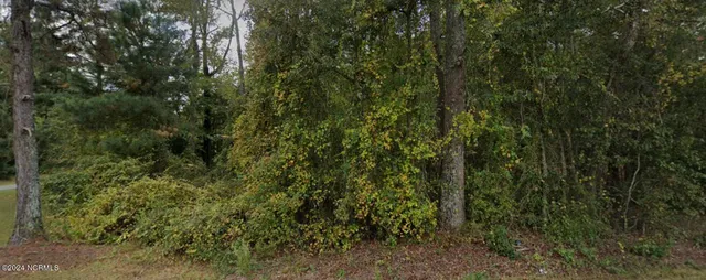 $45,000 | 1179 Buck Swamp Road, Goldsboro, NC 27530