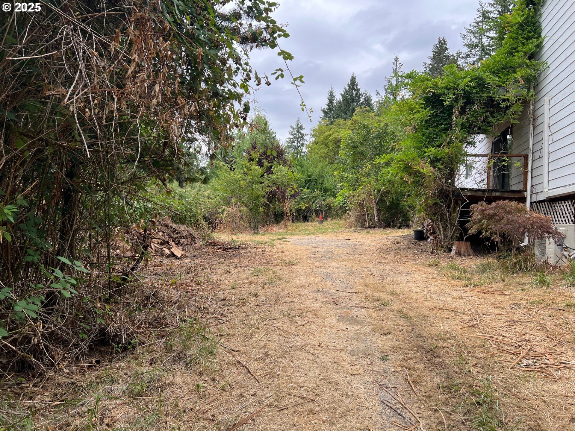17991 South Munson Road Molalla, OR 97038 - Photo 9 of 42 Gallery Image 9