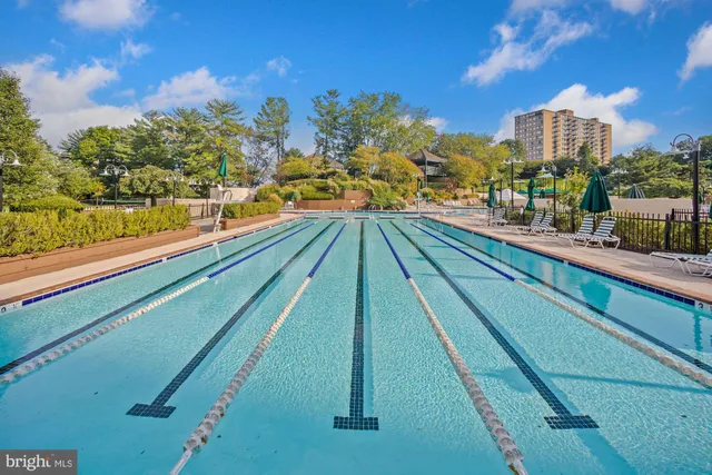 $2,650 | 307 Yoakum Parkway, Unit 1506, Alexandria, VA 22304