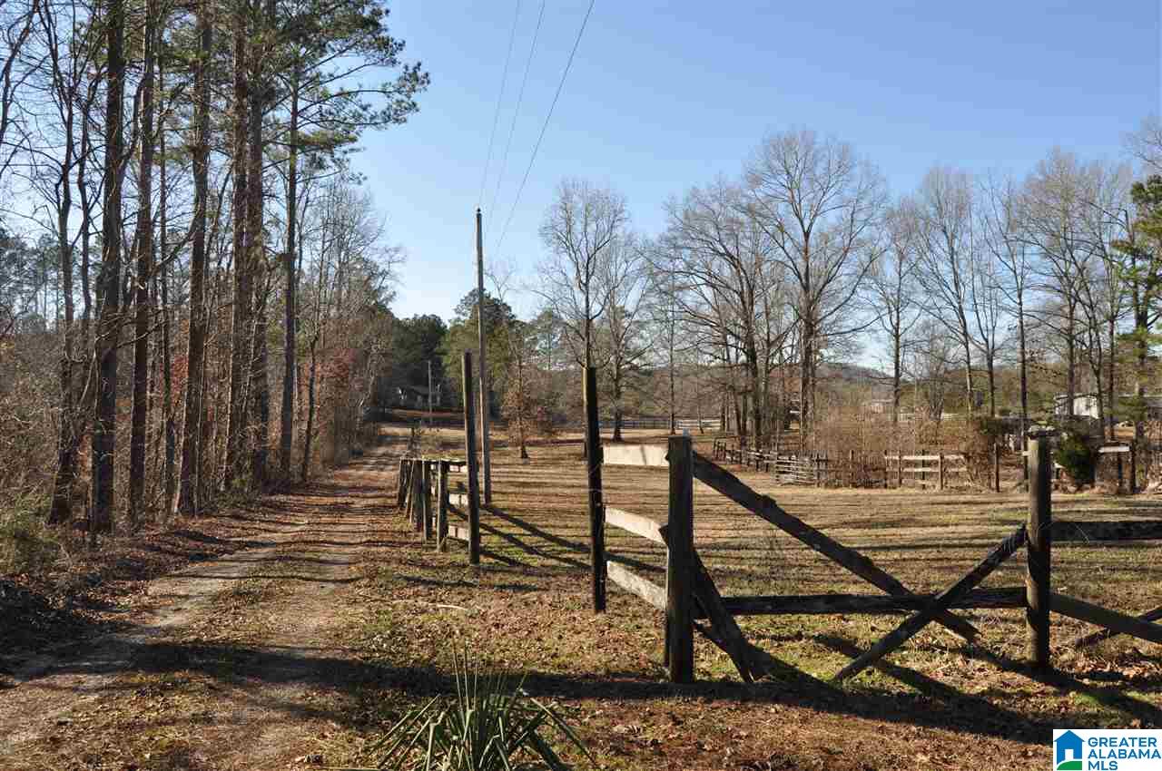 990 Thompson Road Ohatchee, AL 36271 - Photo 4 of 38 Gallery Image 4