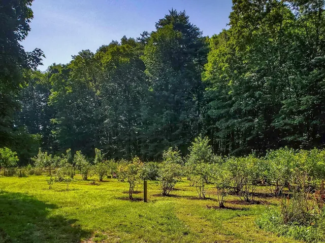 $900,000 | 226 Amesbury Road, Kensington, NH 03833