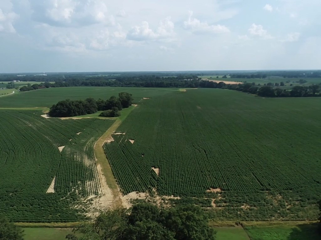 132.3-ac Green Road Dothan, AL 36303 - Photo 10 of 63