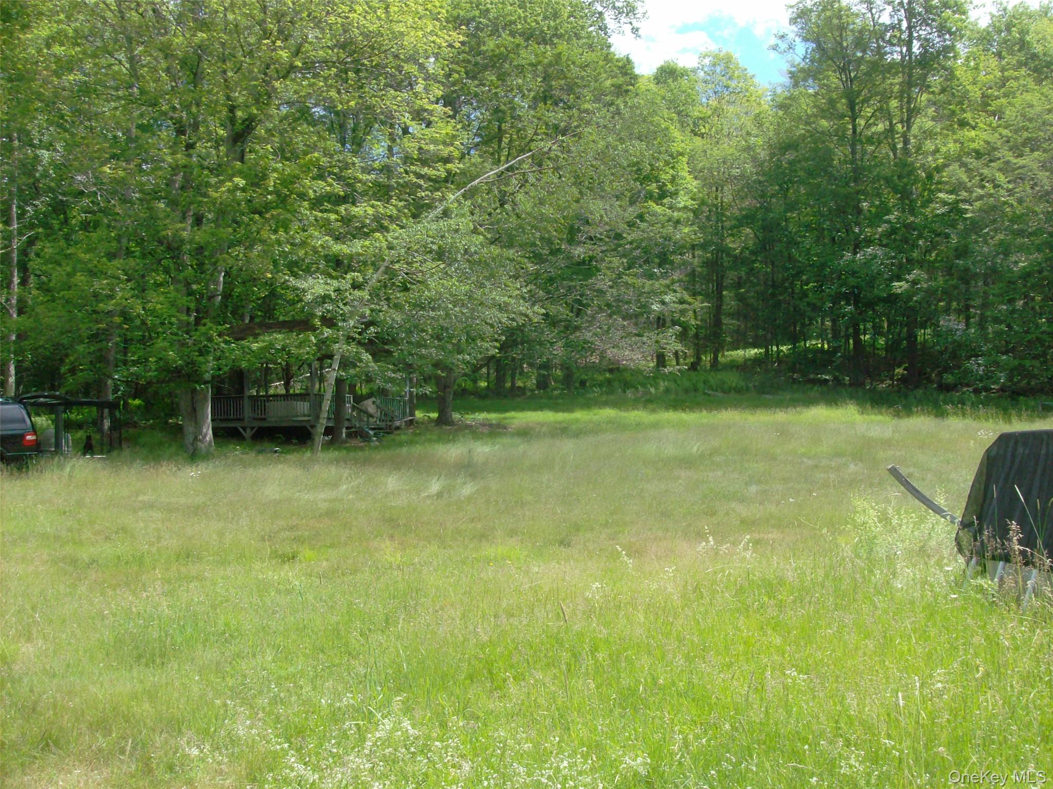 70 Bonnie Brook Road Roscoe, NY 12776 - Photo 15 of 33