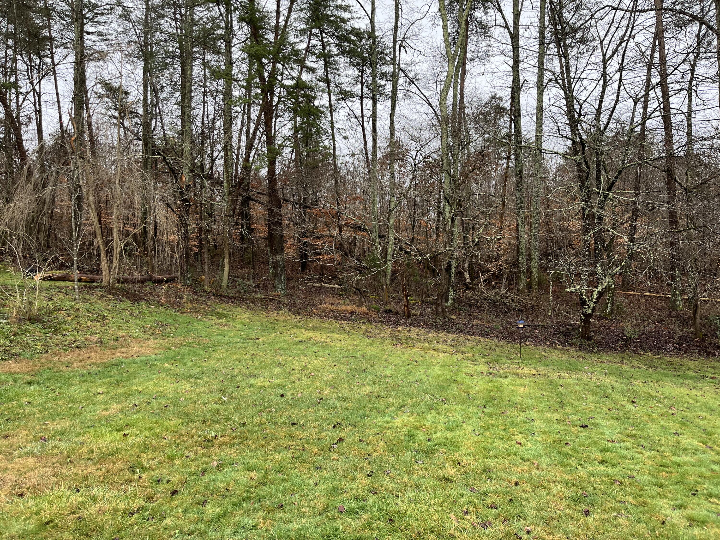 138 Evergreen Road Jonesborough, TN 37659 - Photo 48 of 69 IMG_0560