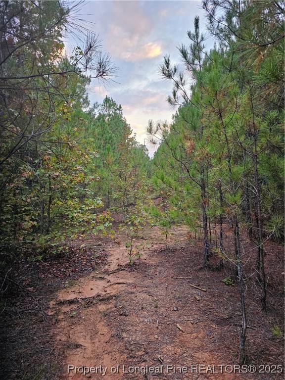 0 Carbonton Road Sanford, NC 27330 - Photo 11 of 12