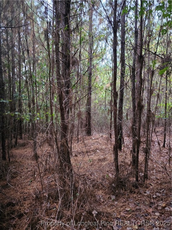 0 Carbonton Road Sanford, NC 27330 - Photo 12 of 12