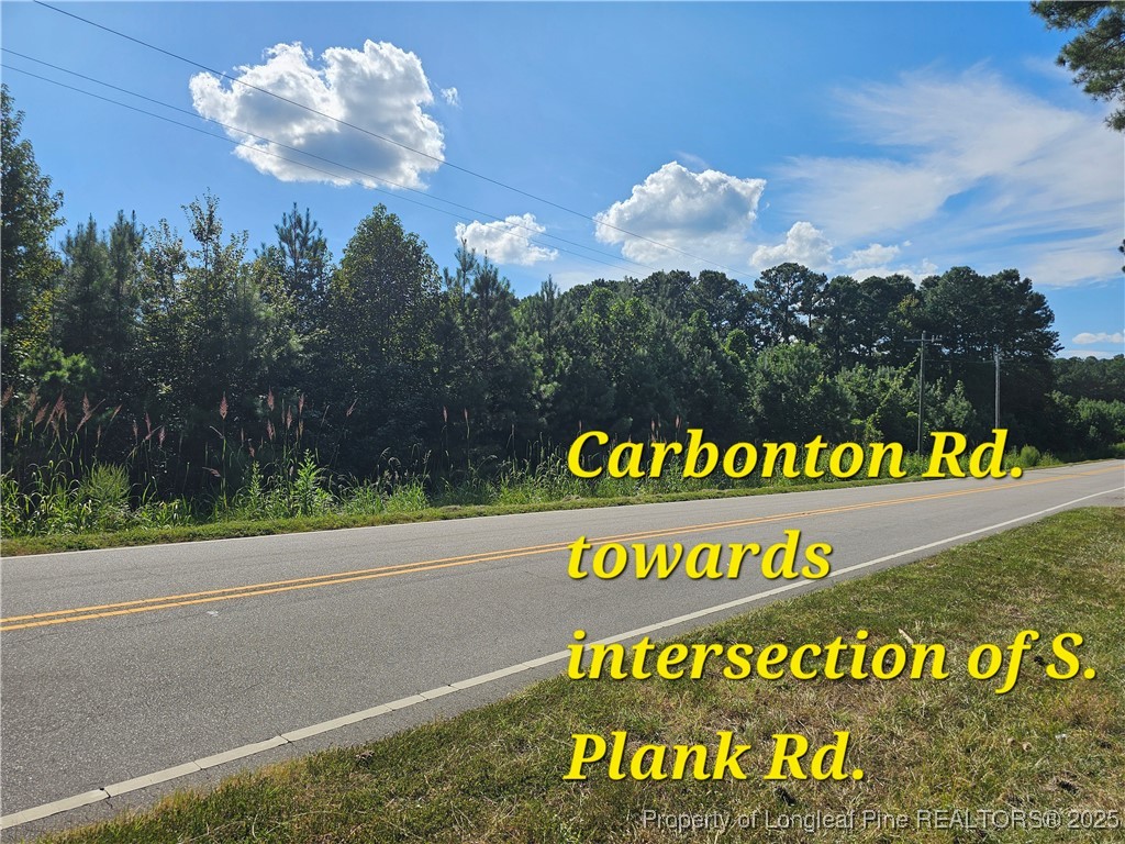 0 Carbonton Road Sanford, NC 27330 - Photo 4 of 12