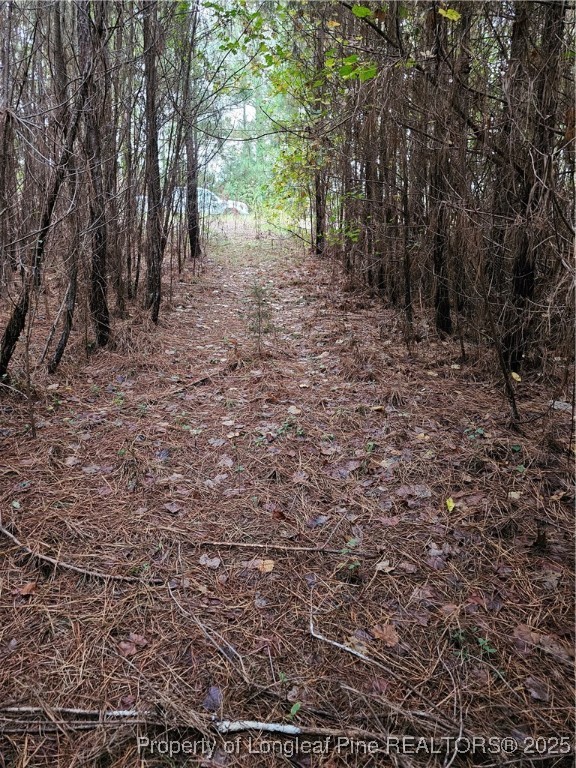 0 Carbonton Road Sanford, NC 27330 - Photo 6 of 12