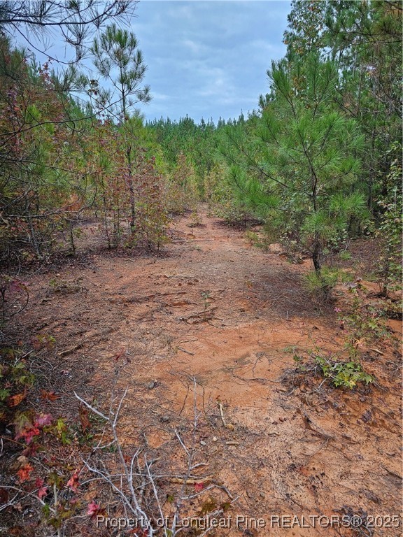 0 Carbonton Road Sanford, NC 27330 - Photo 7 of 12