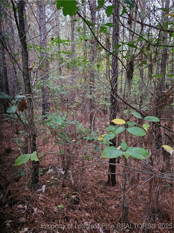 0 Carbonton Road Sanford, NC 27330 - Photo 9 of 12