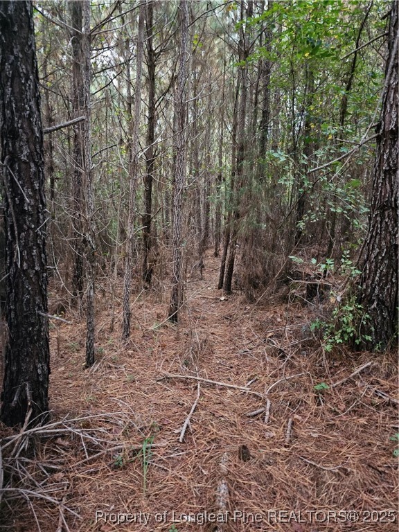 0 Carbonton Road Sanford, NC 27330 - Photo 10 of 12