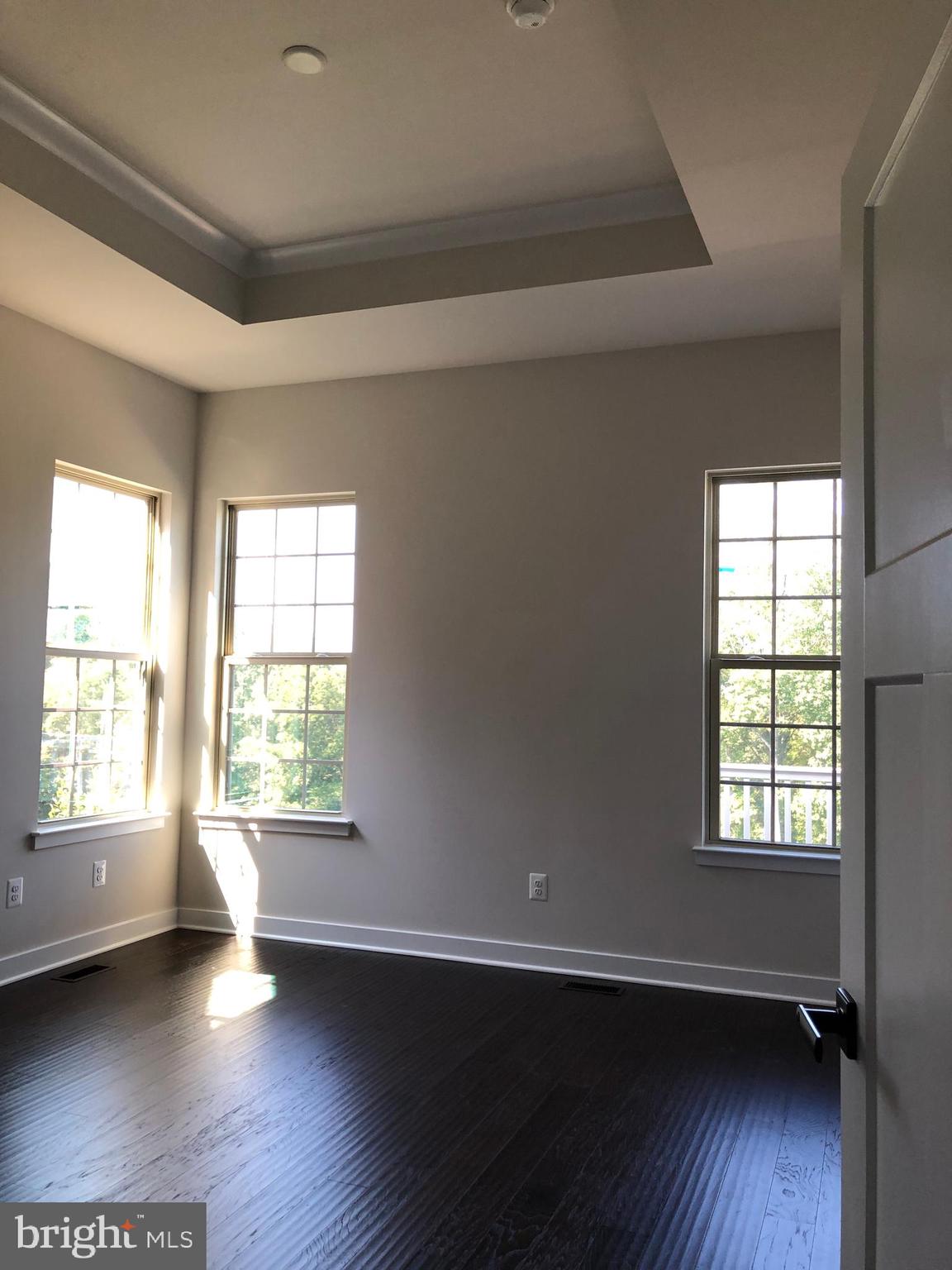 18172 Red Mulberry Road Dumfries, VA 22026 - Photo 4 of 6 Owner Suite, Wood Floors, Tray Ceiling Treed View