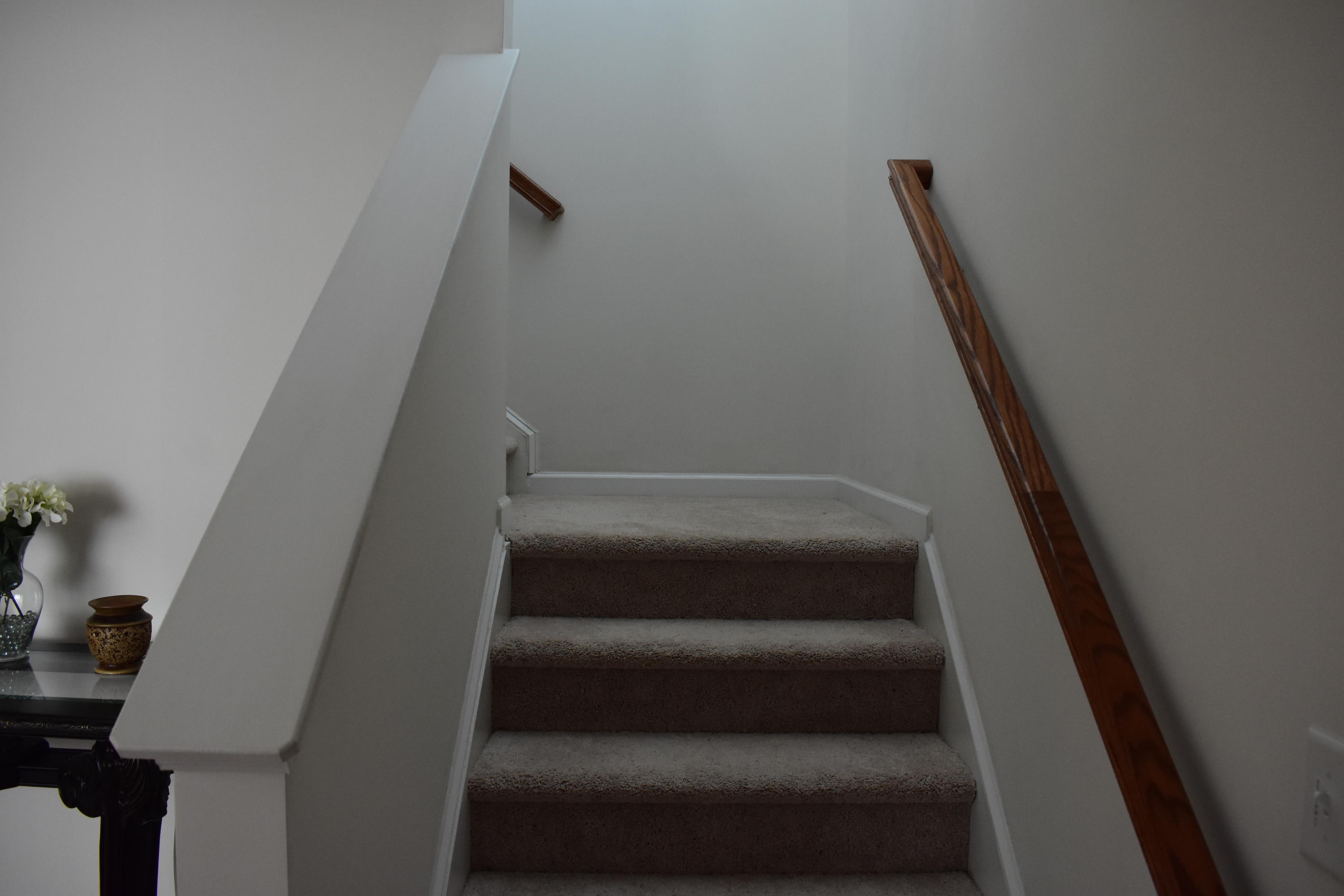 302 Beautyberry Road Summerville, SC 29486 - Photo 11 of 47 DSC_0022