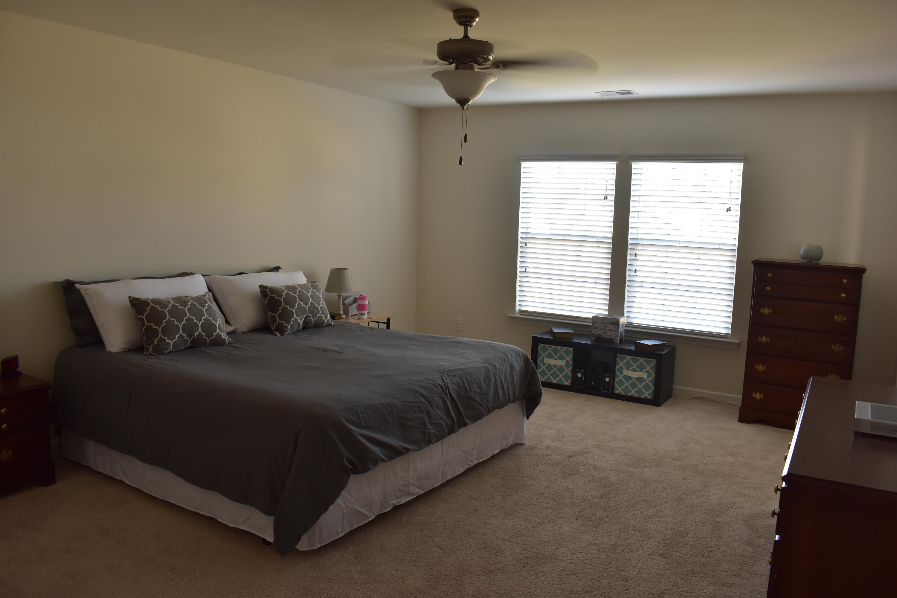 302 Beautyberry Road Summerville, SC 29486 - Photo 22 of 47 DSC_0037